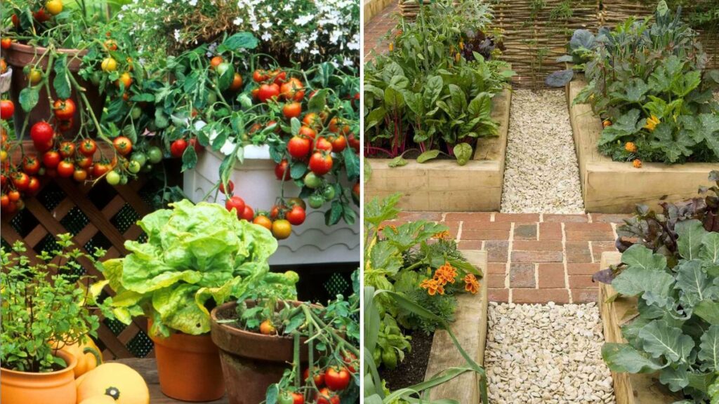 9 Vegetables That Thrive in Raised Beds