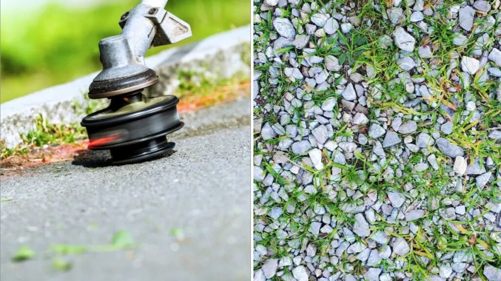 How to Manage Weeds in Gravel Driveways