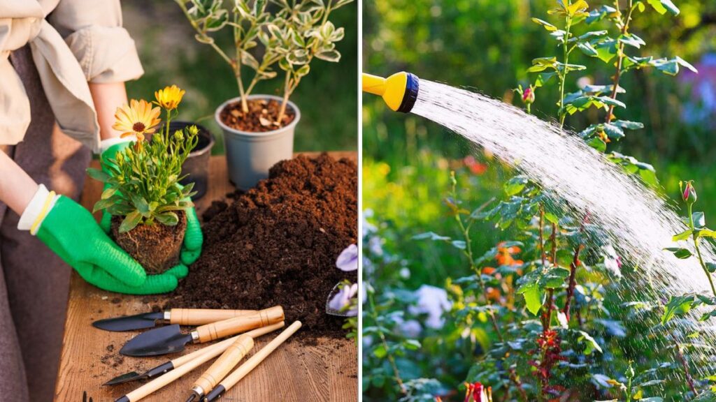 6 Ways To Keep Your Garden Looking Fresh Through Fall