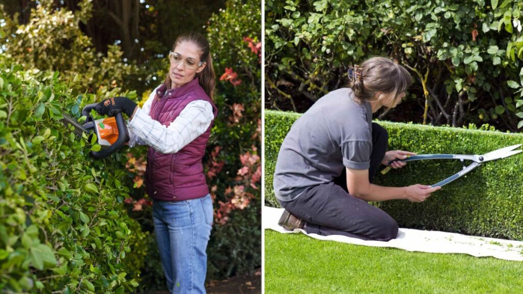 The Best Time To Trim Hedges Before Winter