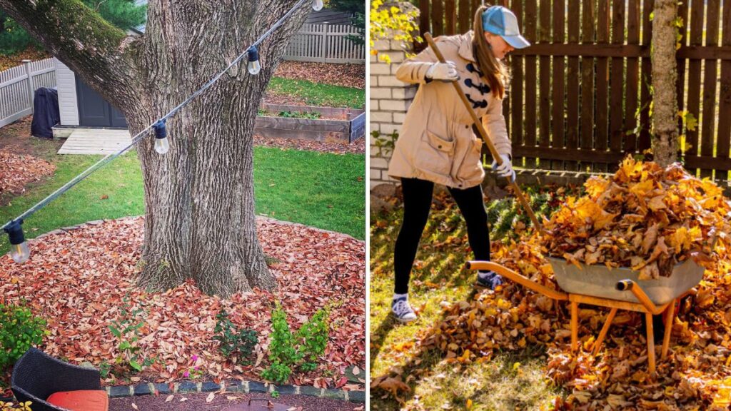 Why You Should Leave Some Leaves In Your Garden Beds
