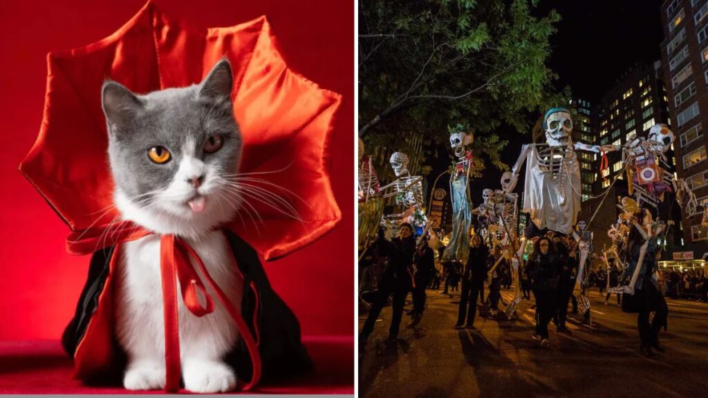 6 Halloween Costume Ideas You Can Wear with What You Own