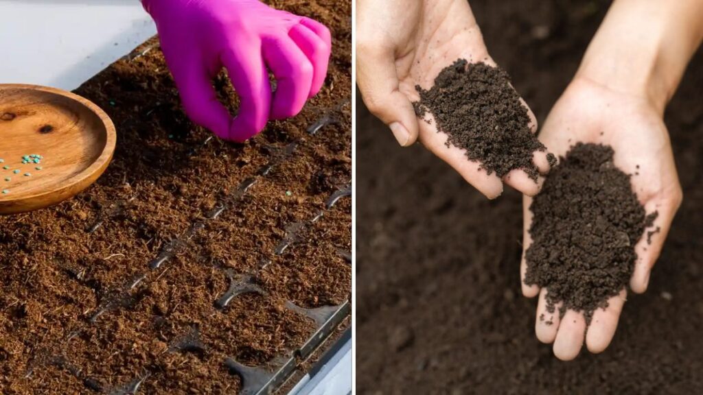 6 Composting Tips for a Grateful Thanksgiving Garden