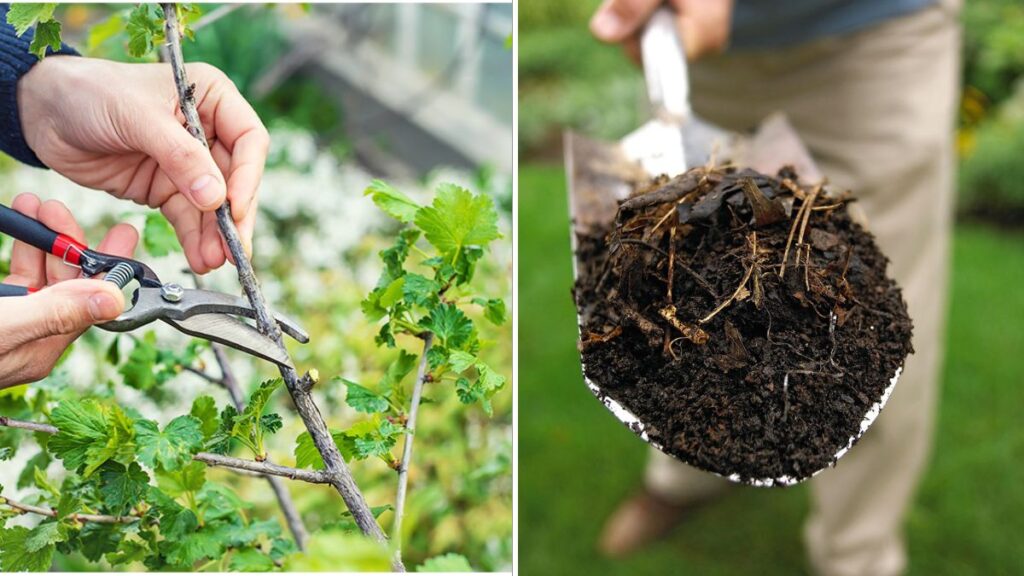 7 Fall Gardening Routines Before Thanksgiving Arrives