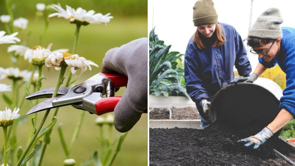 5 Autumn Gardening Tasks Before Thanksgiving Weekend