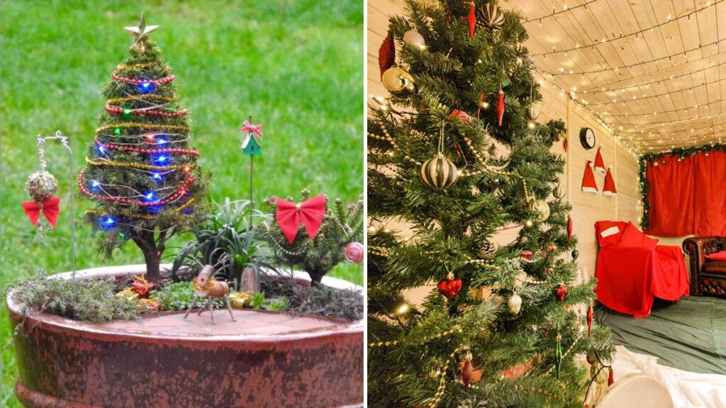 5 Festive Gardening Ideas for Christmas
