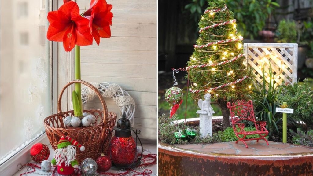 6 Winter Gardening Projects to Celebrate Christmas