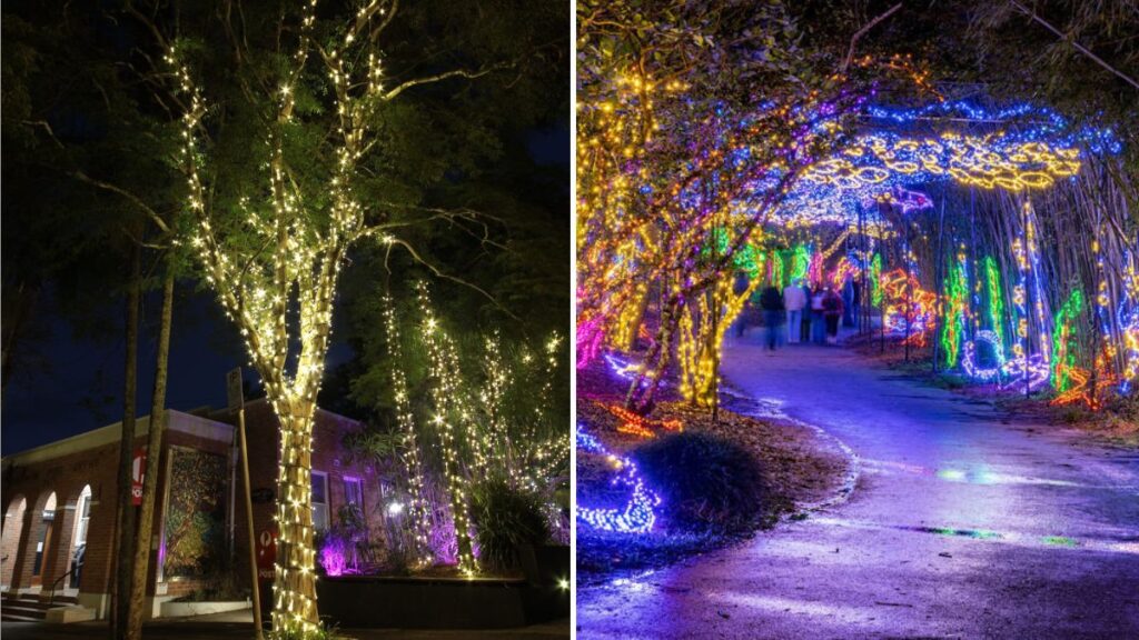 7 Magical Garden Lights for Christmas Nights