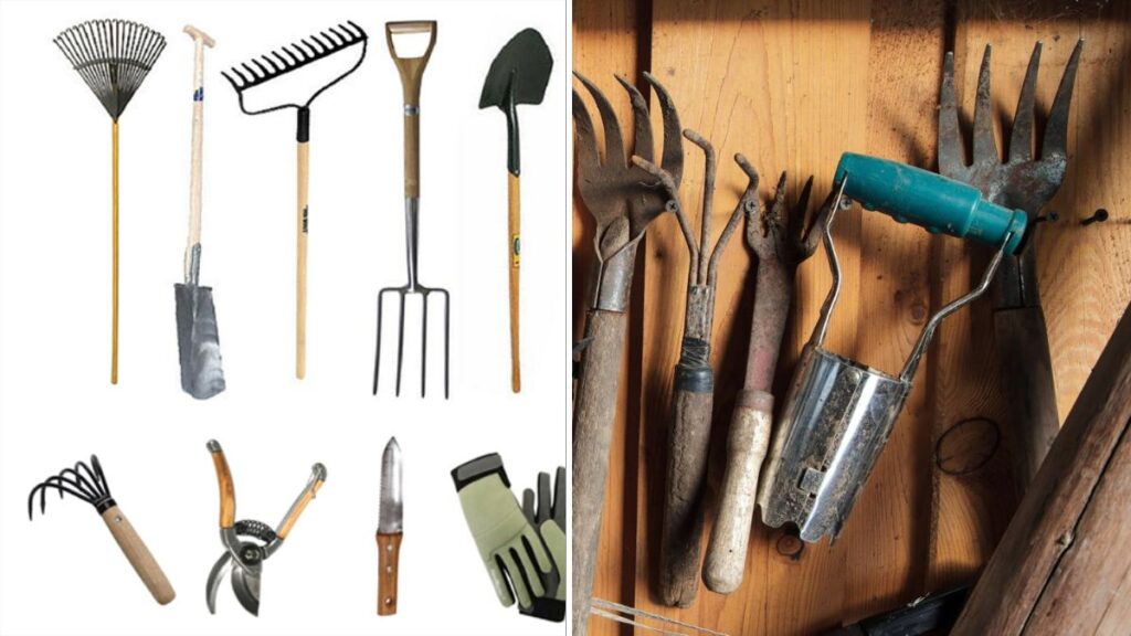 10 Must-Have Tools for Maintaining Large Yards