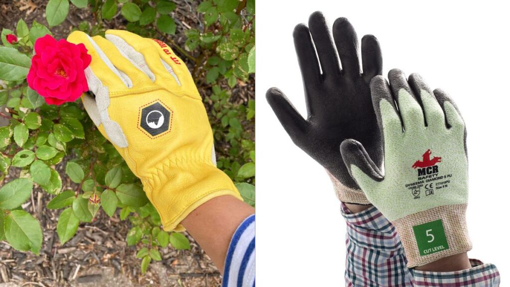 The Best Gloves for Pruning Roses Without Getting Scratched